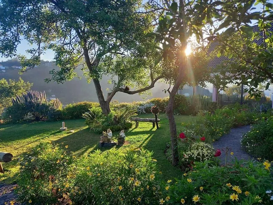 Casa Da Tia Maria Villa Gaula Holiday home